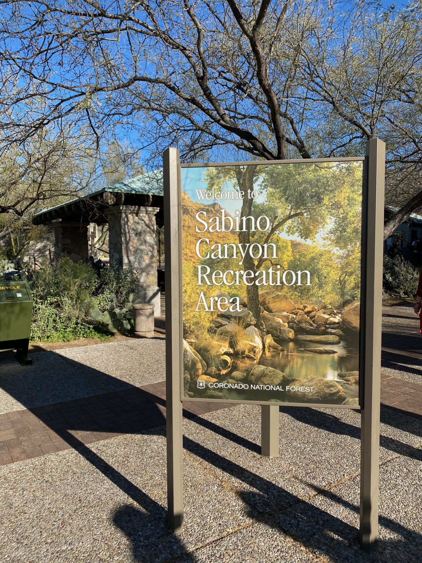 Sabino Canyon Recreation Area in Tucson, Arizona