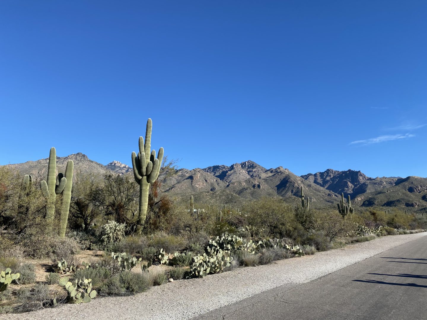 Sabino Canyon Recreation Area in Tucson, Arizona
