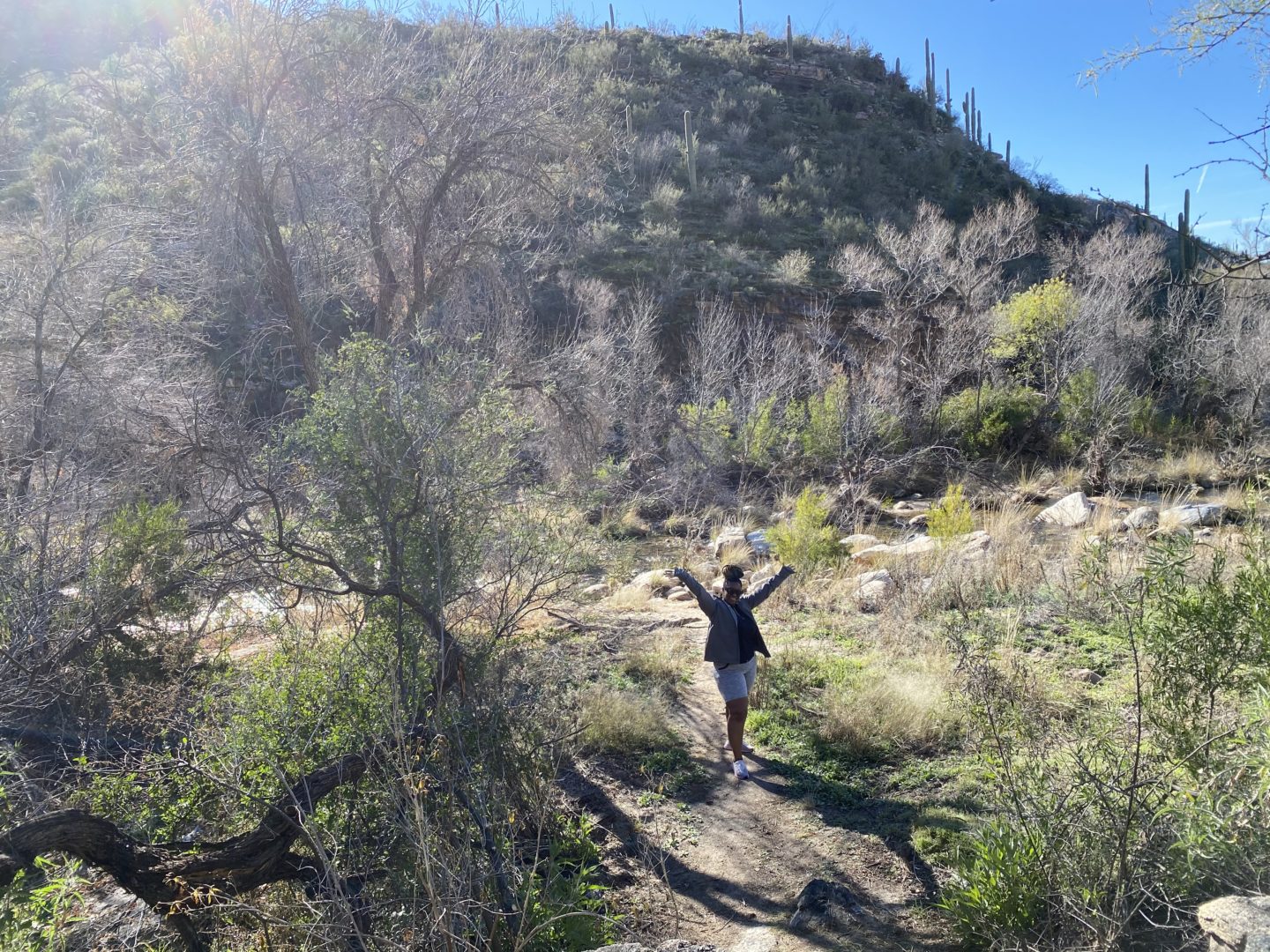 Sabino Canyon Recreation Area in Tucson, Arizona