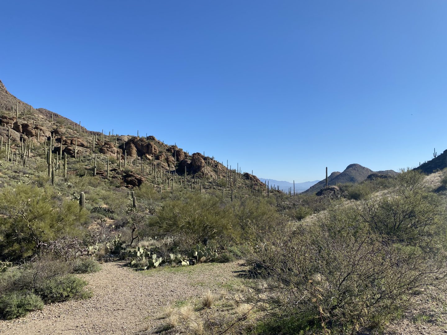 Old Tucson in Tucson, Arizona